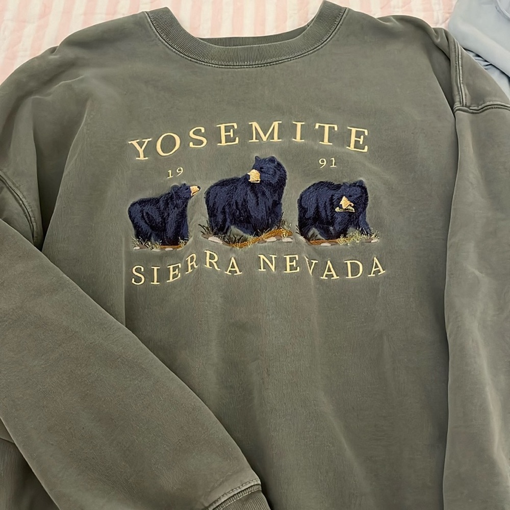 Green Brandy Melville sweater